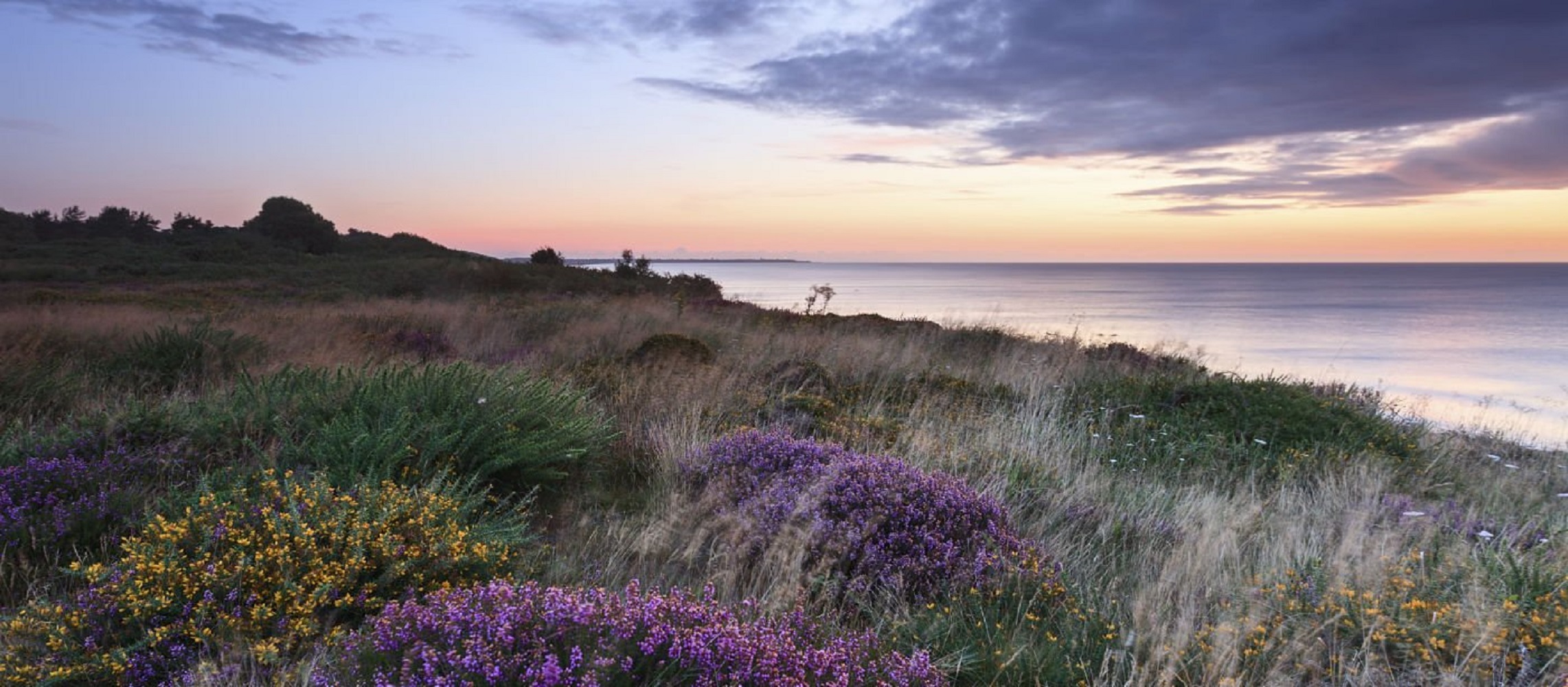 Suffolk Coast & Heaths AONB